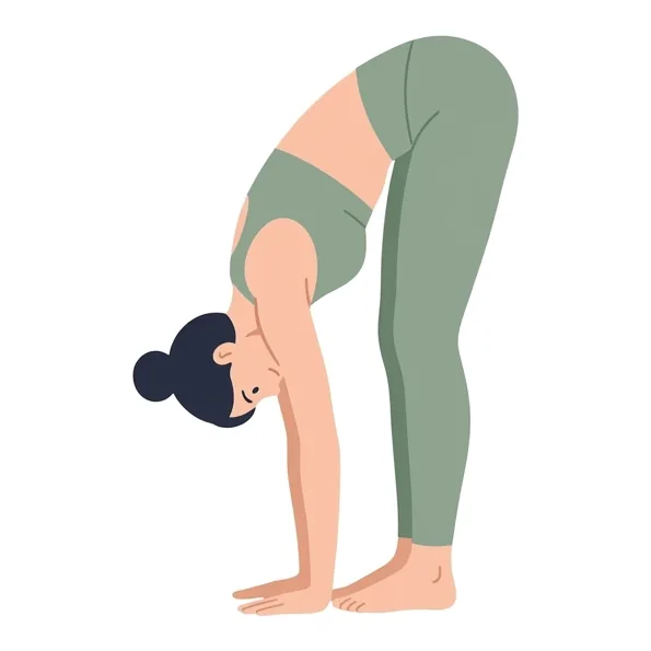 Standing Forward Fold illustration